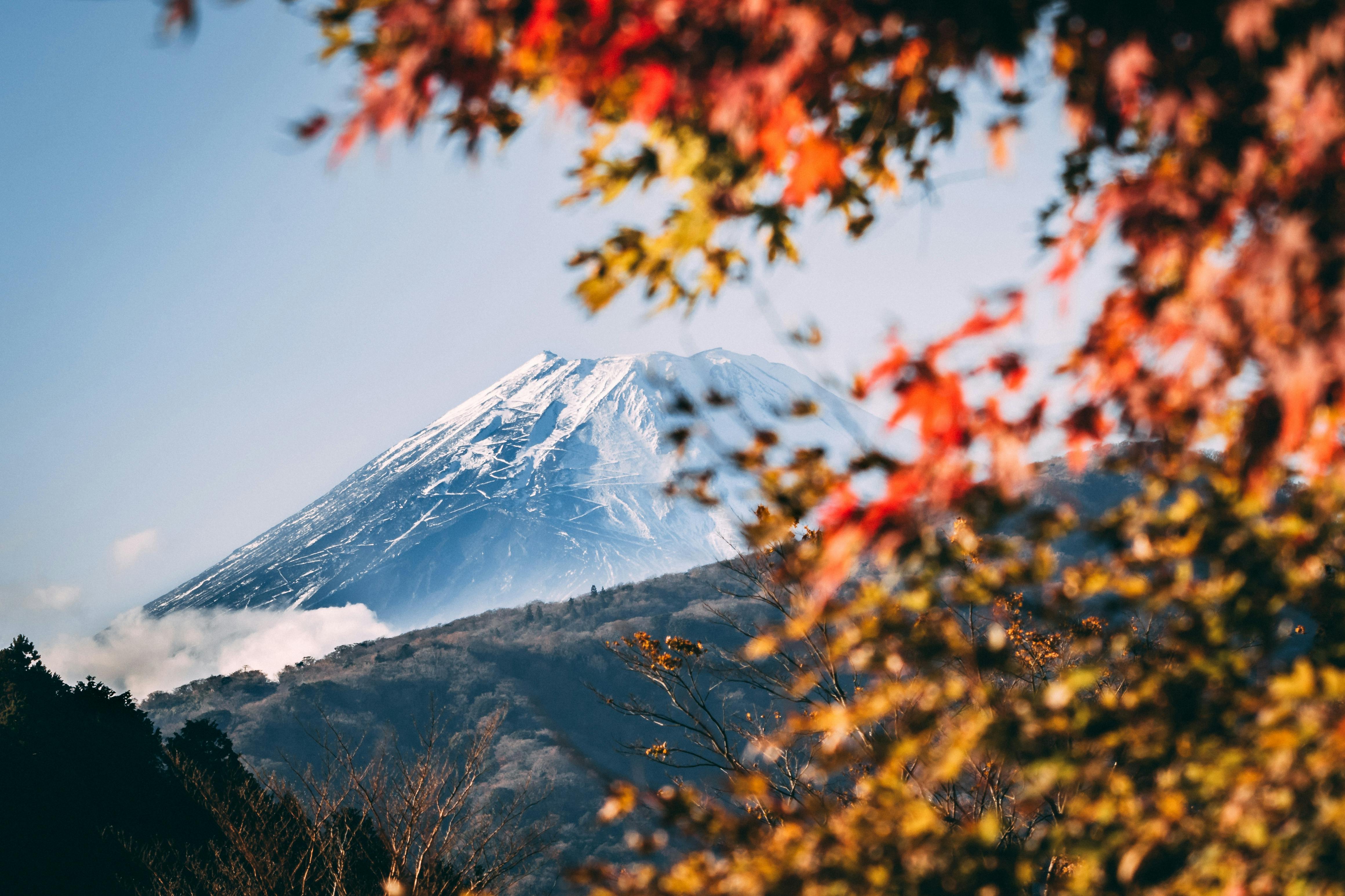 Japan Luxury Escape: Discover the Magic of Mount Fuji in Style 